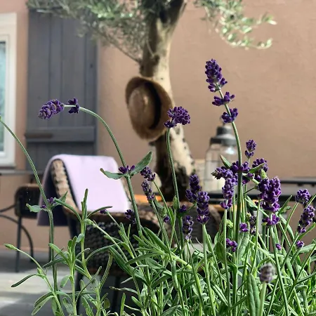 Zum Weissen Haus 3* Schwerin (Mecklenburg-Vorpommern)