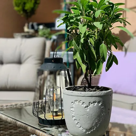 Zum Weissen Haus Pensionat