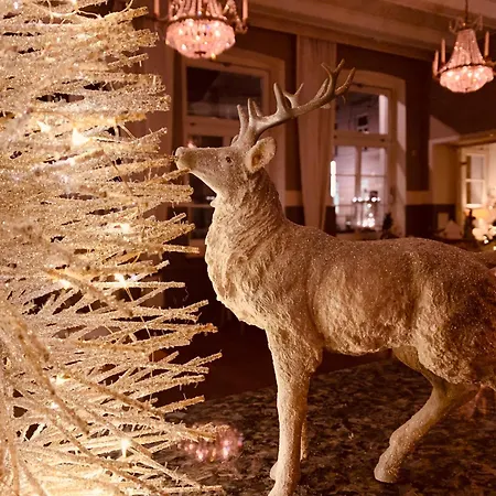 Zum Weissen Haus Гостевой дом 3*