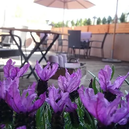 Гостевой дом Zum Weissen Haus 3*