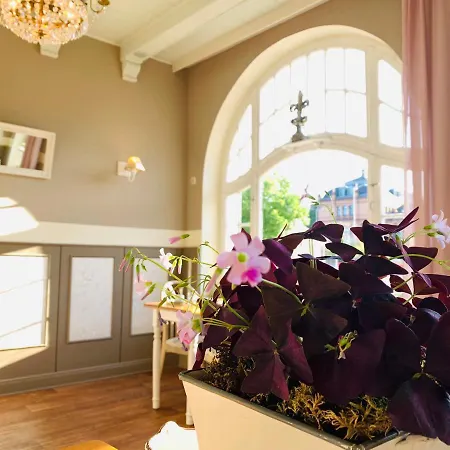 Zum Weissen Haus Pensionat Schwerin (Mecklenburg-Vorpommern)